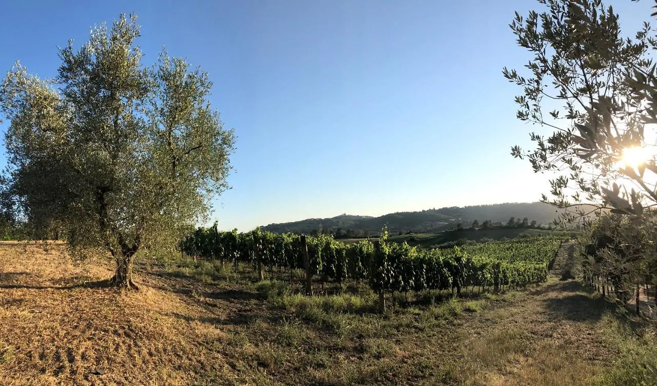 Bed & Breakfast Agriturismo Poggio Del Drago Montemerano Italy