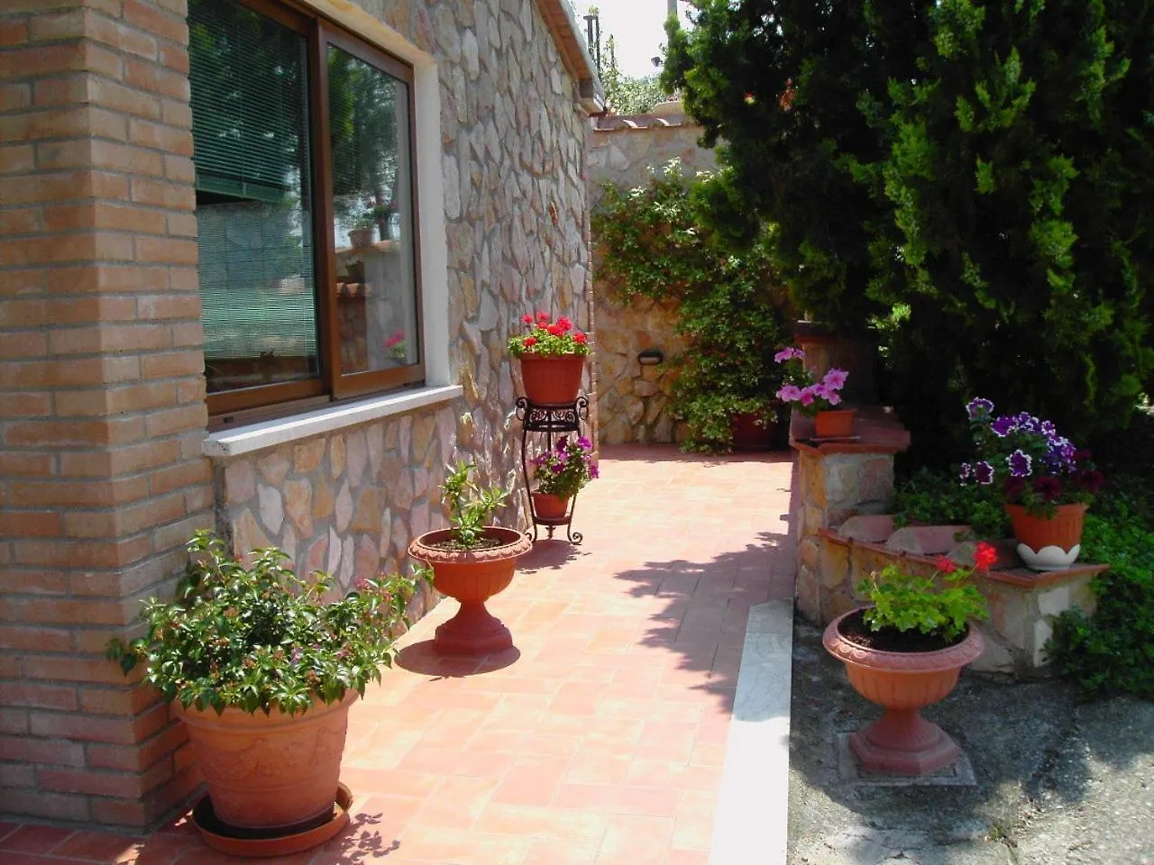 Agriturismo Poggio Del Drago Montemerano 0*,