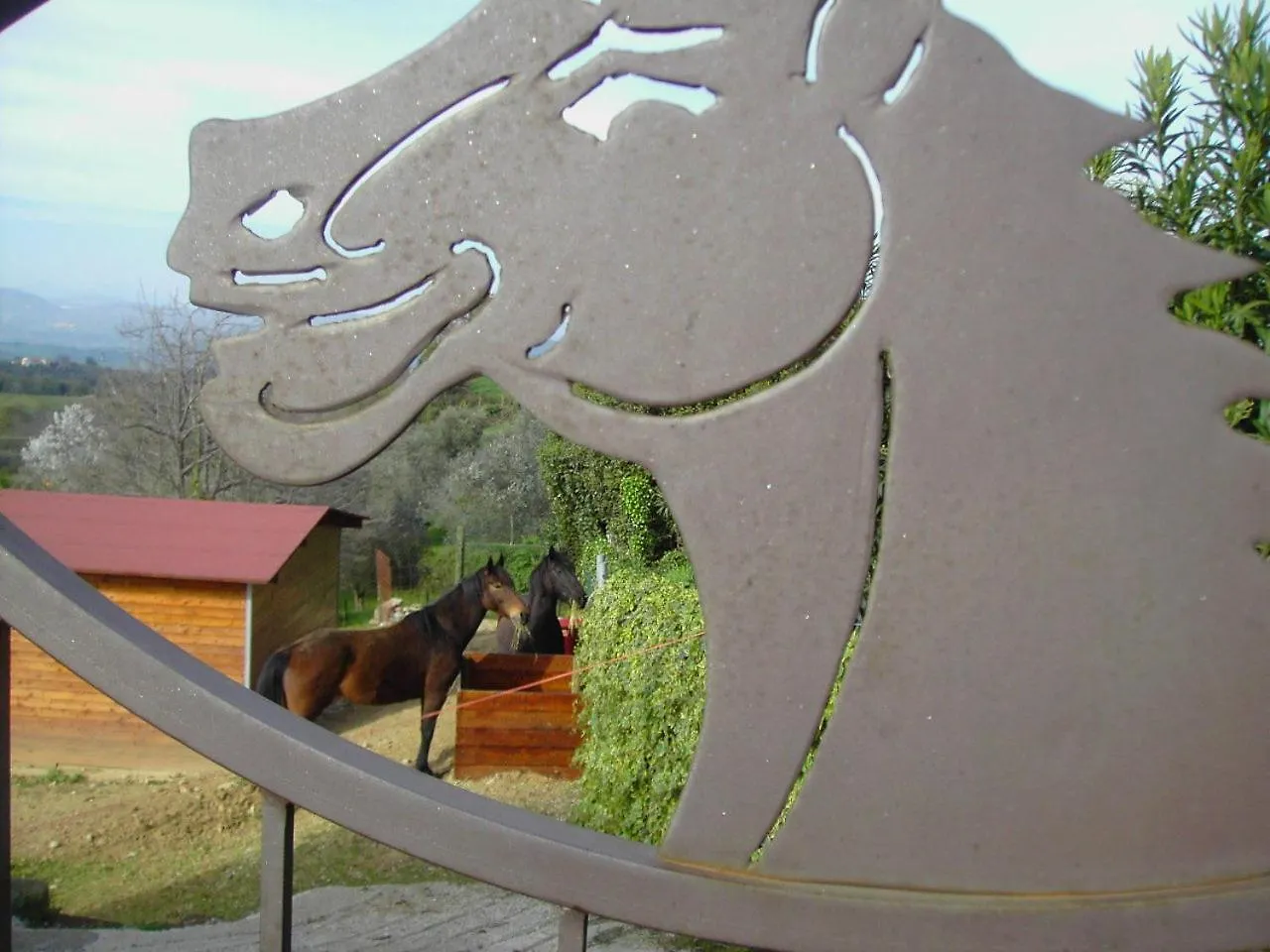 Agriturismo Poggio Del Drago Montemerano