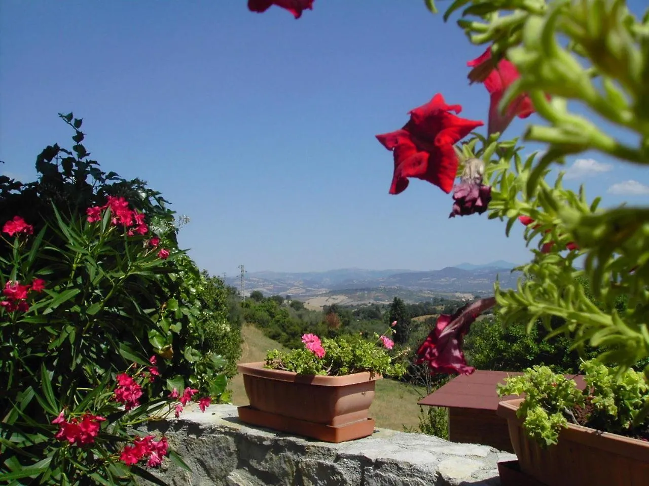 Agriturismo Poggio Del Drago Montemerano Bed & Breakfast