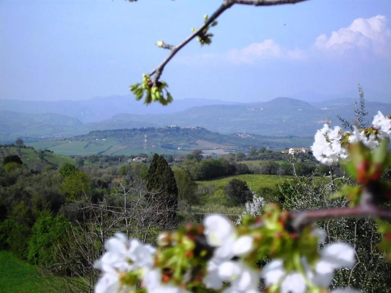 Agriturismo Poggio Del Drago Montemerano