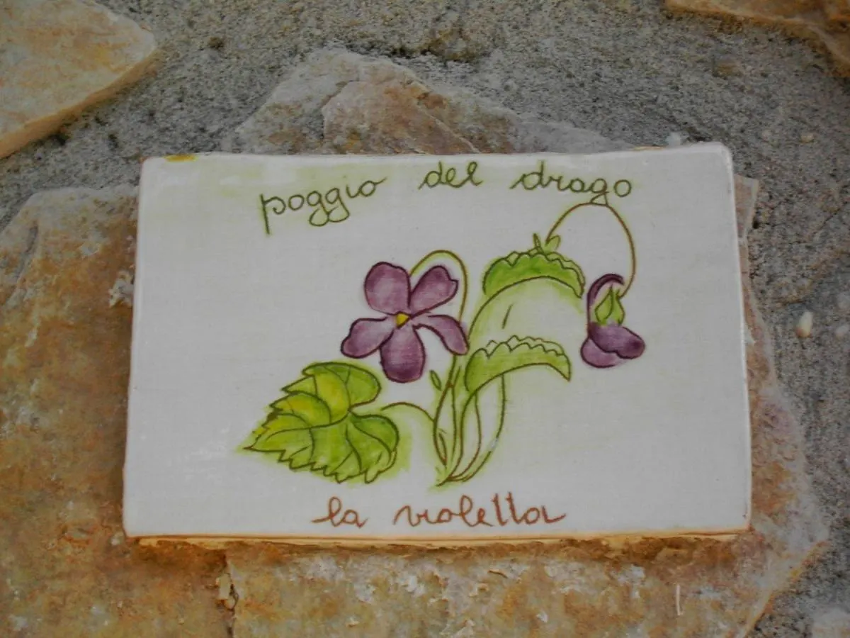 Agriturismo Poggio Del Drago Montemerano