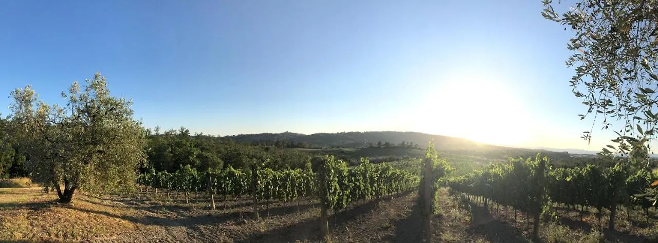 Agriturismo Poggio Del Drago モンテメラノ