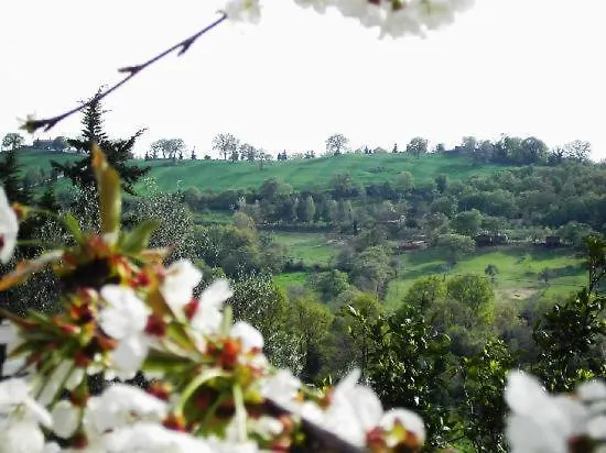 Agriturismo Poggio Del Drago モンテメラノ ベッド・アンド・ブレックファスト