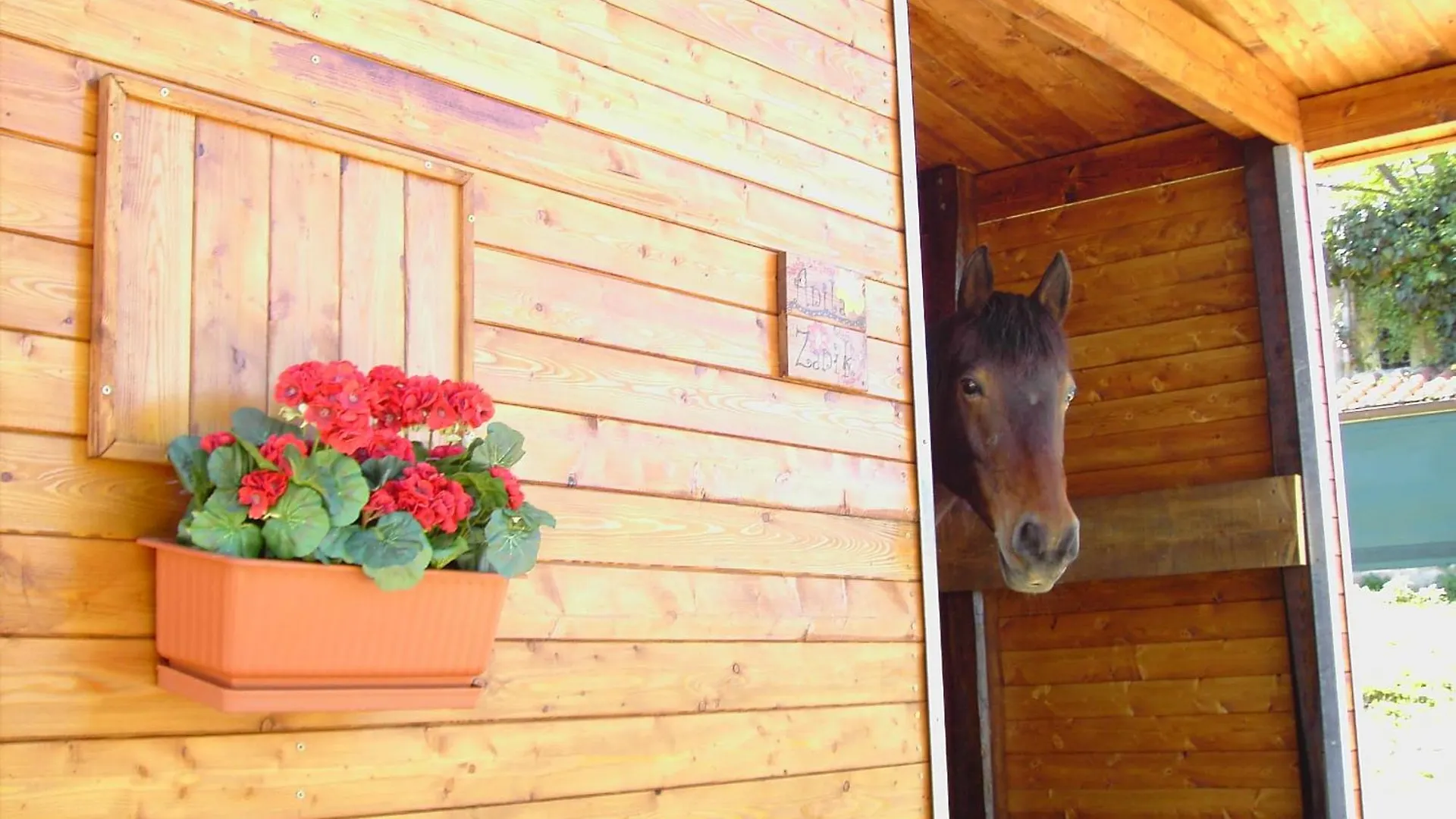 ベッド・アンド・ブレックファスト Agriturismo Poggio Del Drago モンテメラノ